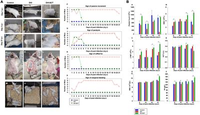 Stem Cell Therapy in Dengue Virus-Infected BALB/C Mice Improves Hepatic Injury
